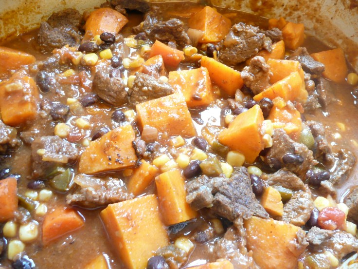 Spicy Elk Stew a